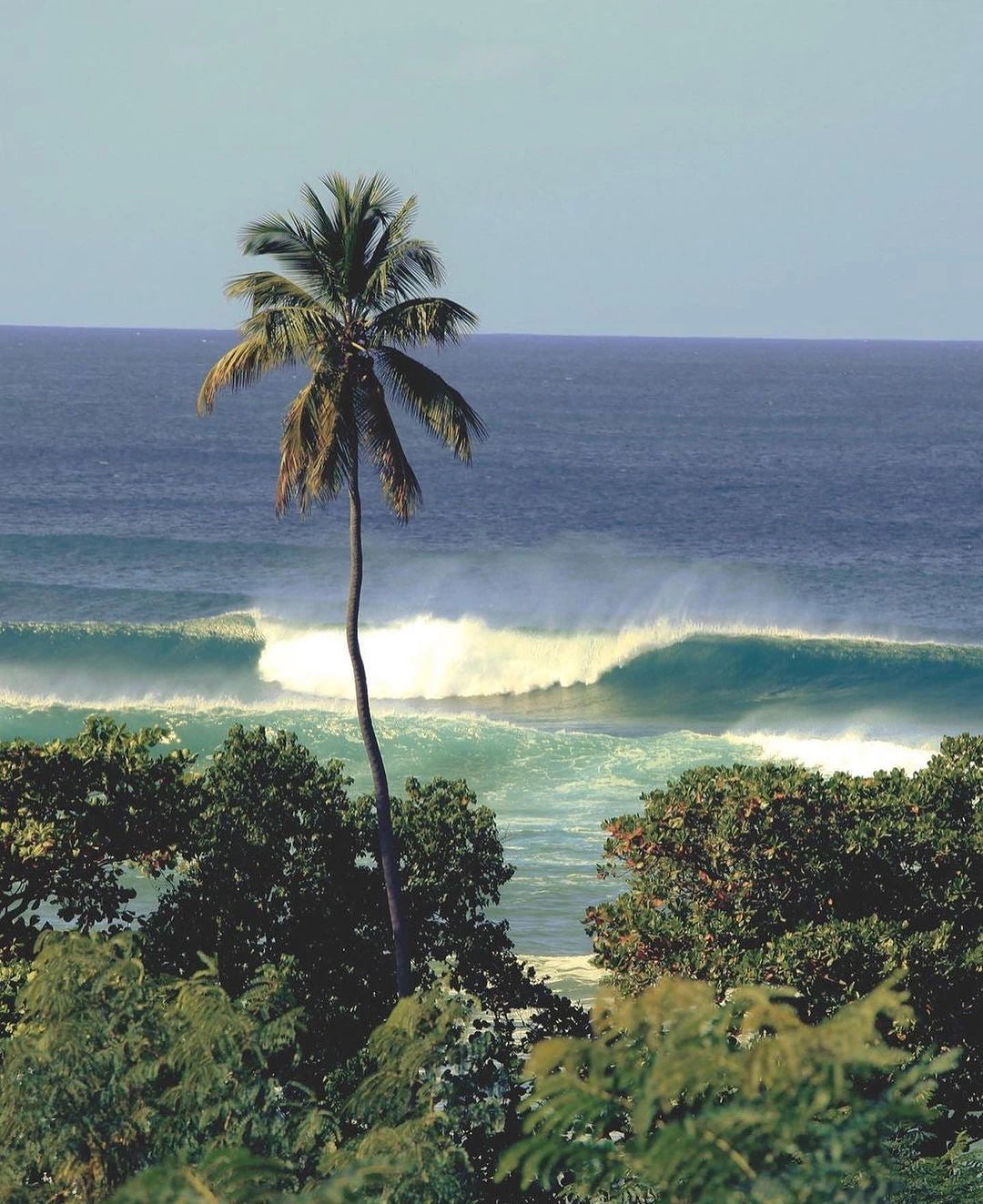 NICOYA_04.png